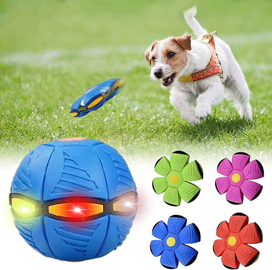 pawsh Dog Frisbee