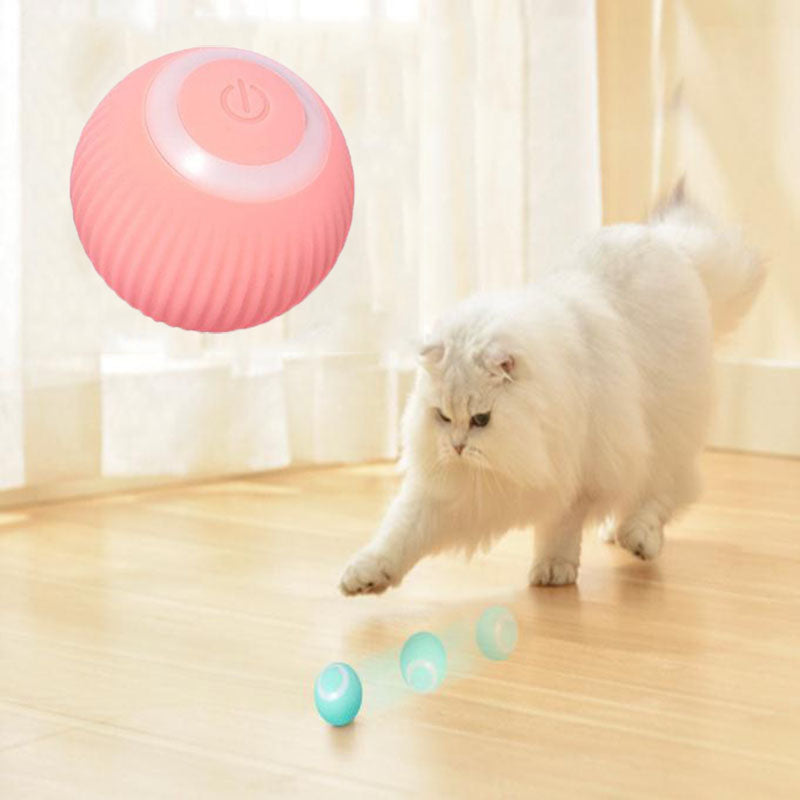 pawsh Interactive Ball