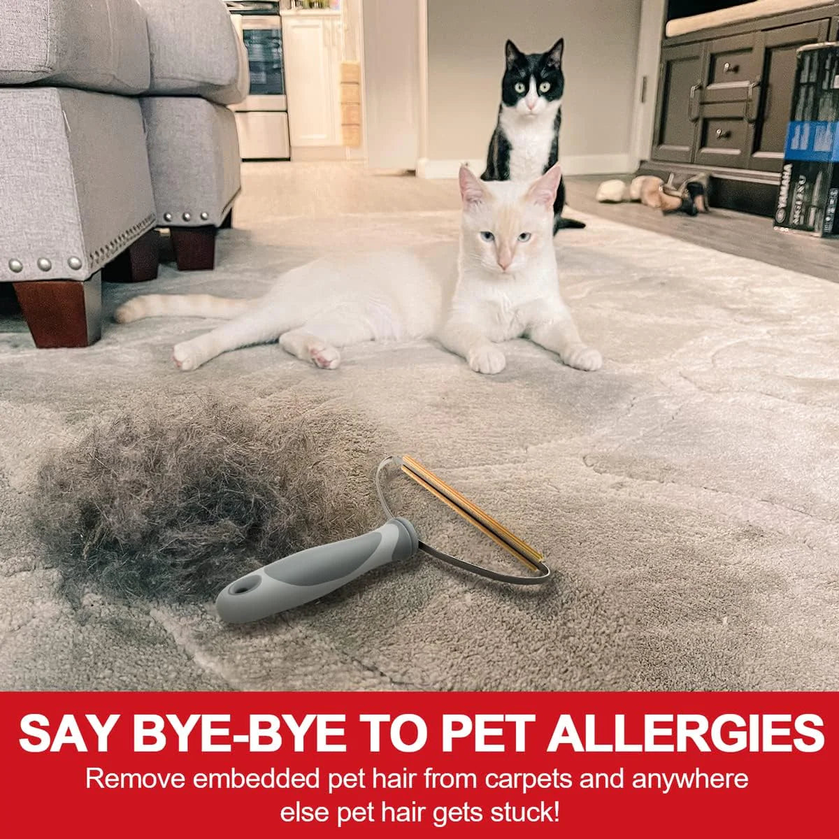 Pawsh Pet Hair Remover