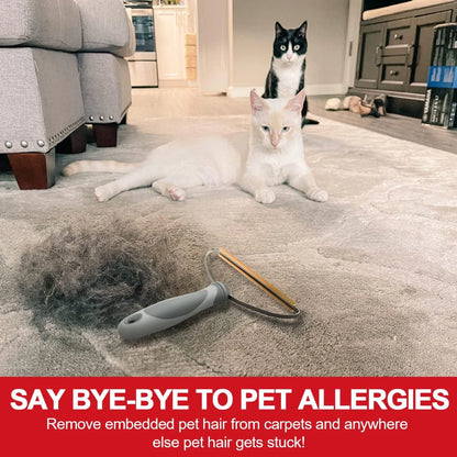 Pawsh Pet Hair Remover